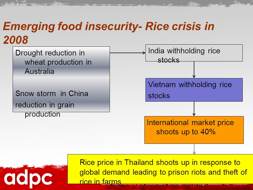 Global Food Crisis 2008